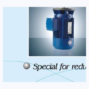 EP-REDUCER-132M-4 Industrial Motor