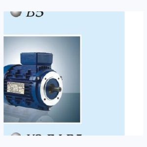 EP-Y2EJ-100L1-4 Industrial Motor