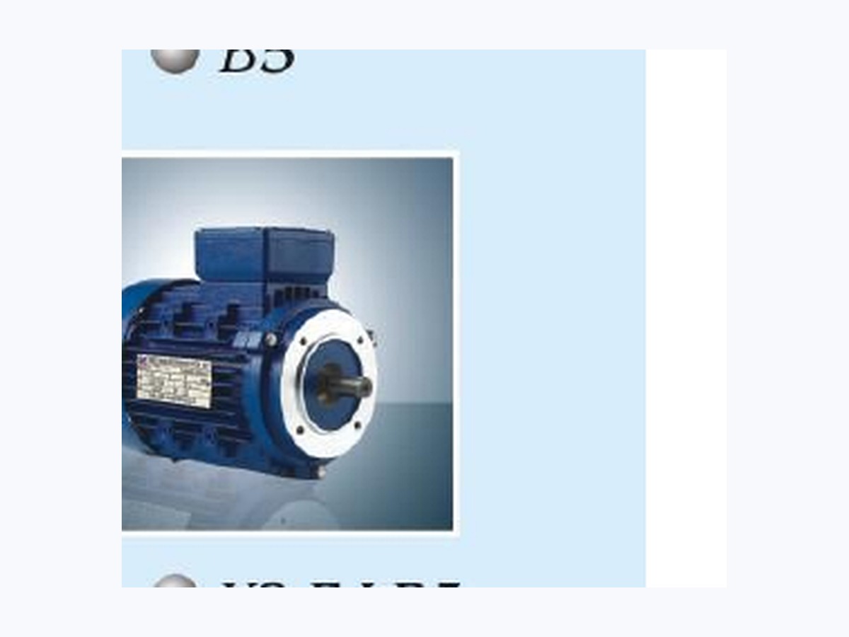 EP-Y2EJ Electromagnetic Brake Motors