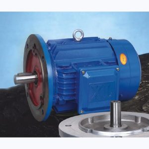 EP-YD-100L1-4/2 Industrial Motor