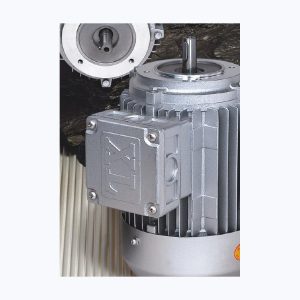 EP-YS-50M1-2 Industrial Motor