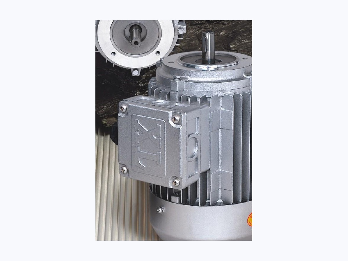 EP-YS Small-Power Motors